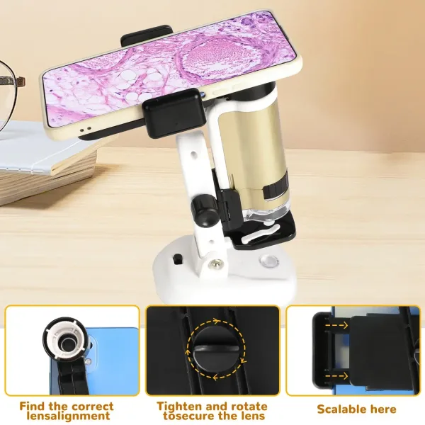 Microscope 100X-250X Kit pour Enfants