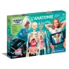 L'anatomie