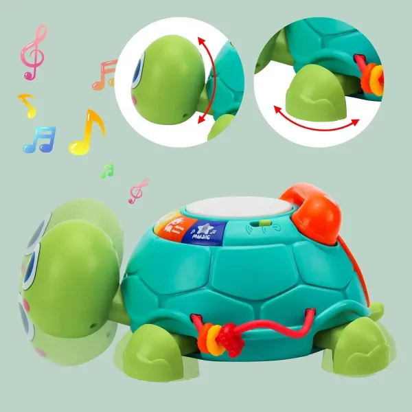 Jouet tortue rampante