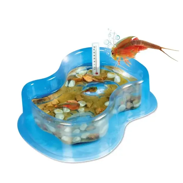 Mes premiers triops