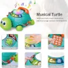 Jouet tortue rampante