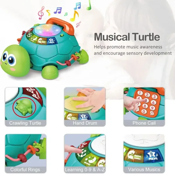 Jouet tortue rampante