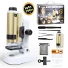 Microscope 100X-250X Kit pour Enfants