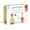 Montessori-–-Un-Jeu-Educatif-pour-Decouvrir-lAnatomie