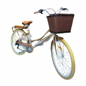 Holland Vélo Cruiser 24 pouces